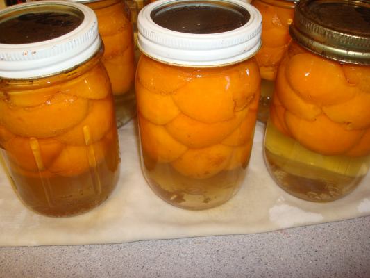 End result of using this home canning receipe for apricots.